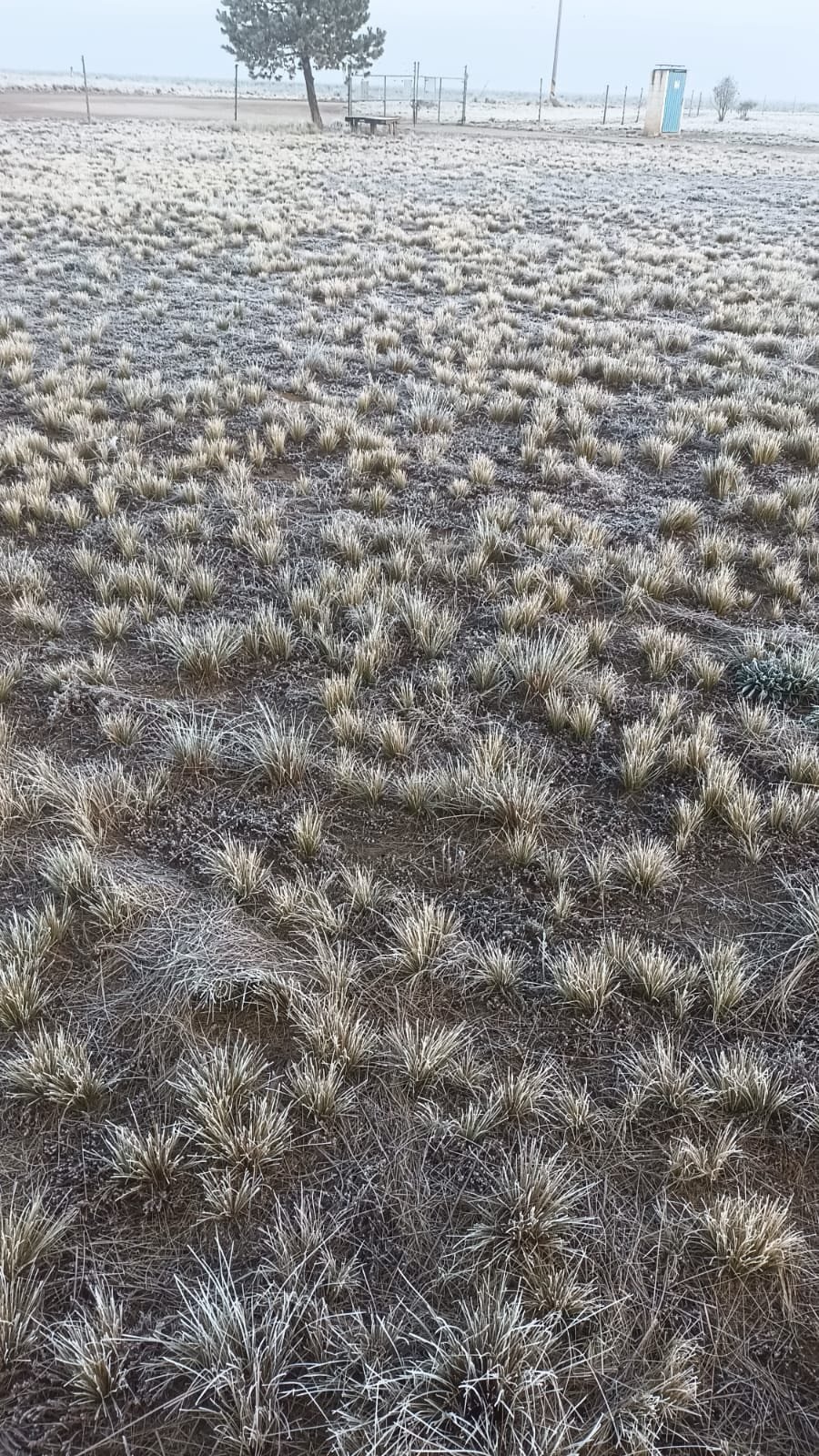 Se registran heladas en municipio de Jalacingo