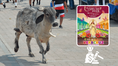 Multas de 29 mil pesos a quien maltrate toros en Fiesta de la Candelaria