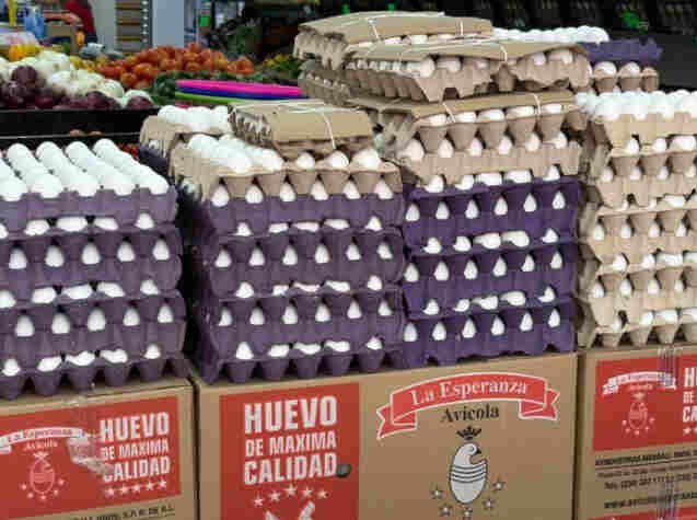 Familias veracruzanas desconfían del huevo barato; autoridades garantizan que el producto no es chino